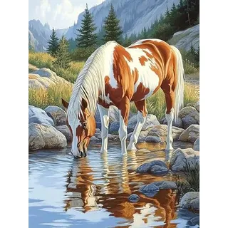 Bimkole 5D Diamond Painting Kits Zubehör Pferd Am Fluss, Tier Diamant Malerei Kit Voll Runde Bohrer Malen nach Zahlen Malerei Stickerei Kreuzstich Diamond Dekoration 30x40 cm