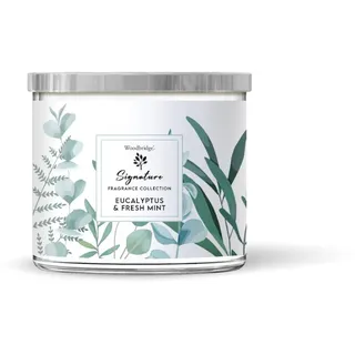 Woodbridge Duftkerze im Glas mit Deckel | Eucalyptus & Fresh Mint | Duftkerze Frisch | Kerzen 3 Docht | Kerzen lange Brenndauer (40h) | Geschenk für Frauen