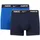 obsidian/game royal L
