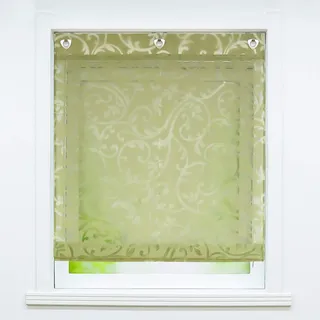 Joyswahl Voile Ösenrollo Transparenter Raffrollo Ausbrenner Raffgardinen »Jessica« Schals Fenster Gardine mit Hakenaufhängung, Raffrollo ohne Bohren BxH 60x140cm Grün 1 Stück