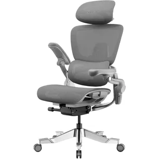 HINOMI H2 Pro Bürostuhl ergonomisch-Lordosenstütze,Kopfstütze&Armlehnen verstellbar,150kg belastbar,atmungsaktives Mesh,Drehstuhl für Home&Office,ergonomischer Schreibtischstuhl (Grau)