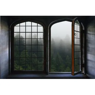 queence Wandsticker Nebel, Wandsticker, Wandbild, selbstklebend, 3D, Fenster grün