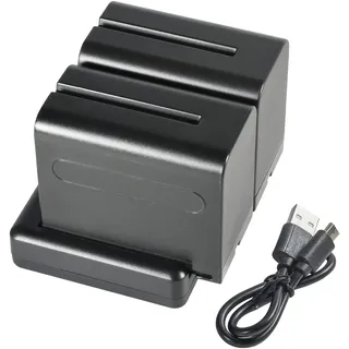 DSTE NP-F970 F950 (2 Stück) Wiederaufladbarer Akku Ersatzakku und Dual Ladegerät Kompatibel mit Sony NP-F960, F550, F530, F330, F570, CCD-SC55