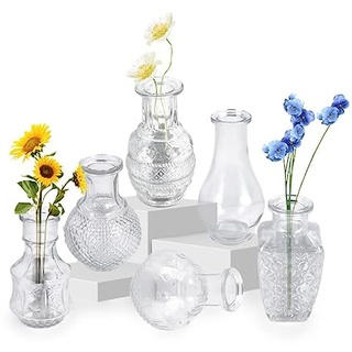 Kleine Vasen für Tischdeko,Kleine Vasen Set 6er Mini Vase Glas Blumenvase Verschiedene Groessen, Modern Schmal Glasvase Tischdeko Fur Blumen Deko Wohnzimmer Bad