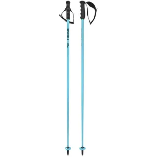 Head Rennskistock Worldcup SL Speed Blue/Black/White 125