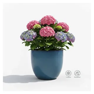 Teramico Pflanzkübel Keramik Pflanzgefäß "Egg Pot" Royal Blau Ø 21cm – Glasiert & Frostfest, 100% Frostfest