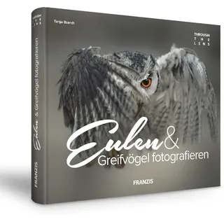 Eulen & Greifvögel fotografieren