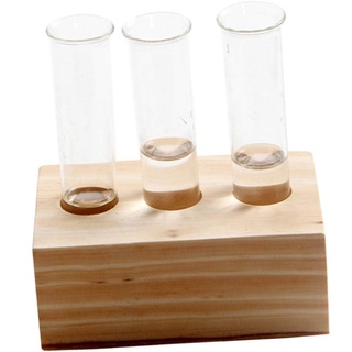 Tubayia 3 Stück Hydroponik Glasvase Reagenzglas Vase Blumenvase Tischvase mit Holz Ständer