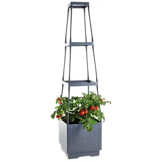 Hti-Living Pflanzturm Nessa Grau mit Rankhilfe