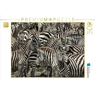 CALVENDO Puzzle Zebras....schwarz- weiss streifen 500 Teile Lege-Größe 48 × 36 cm Foto-Puzzle für Erwachsene