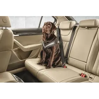 Original Skoda Hundeschutzgurt Größe XL - große Hunde