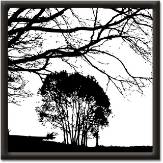 Wandbild ARTLAND "Landschaft" Bilder Gr. B/H: 37 cm x 37 cm, Wandbild, schwarz Bild Kunstdruck Bilder