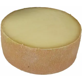 Tete de Moine ca. 435g halber Laib für unseren Käsehobel und Girolle