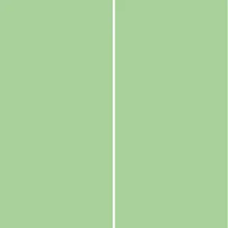 Winwall Duschrückwand Aluverbund Trend lindgrün, 2-er Set, 2500x1250 mm