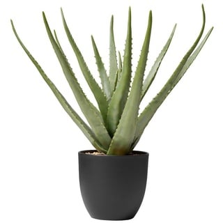 Kunstpflanze Dekopflanze Realistische Kunstpflanze Aloe 50 cm Dekopflanze, Amare home, Höhe 50 cm grün