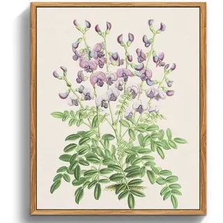 Leinwandbilder Vintage Botanisch Holzrahmen 20x25cm lila Küche
