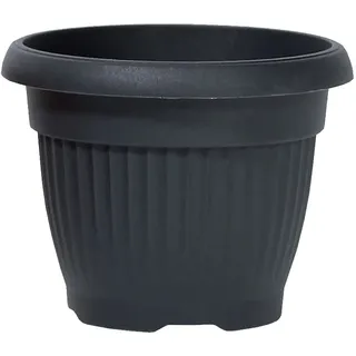 Prosperplast Terra 48L 55 x 55 x 43 cm Anthrazit