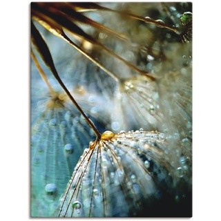 Wandbild ARTLAND "Pusteblume Mystische Schönheit" Bilder Gr. B/H: 45 cm x 60 cm, Leinwandbild Blumen, 1 St., blau Kunstdrucke als Alubild, Leinwandbild, Wandaufkleber oder Poster in versch. Größen