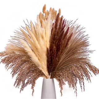 Pampasgras Getrocknet Natürliche Trockenblumen, Getrocknete Pflanzen Pampas Grass Deko für Wohnzimmer Schlafzimmer, Boho Getrocknete Schilfgras und Kaninchenschwanzgras für Heim Decor