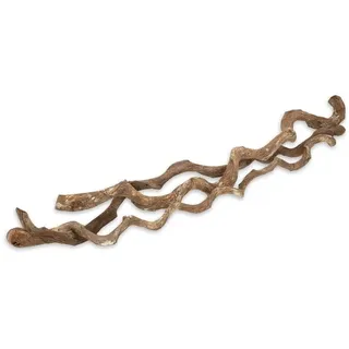 NaDeco Drachen Liane Natur 3 Stück, ca. 100 cm, Ø 2-3 cm, Rattan | Gewachsene Lianenstämme aus Indien, chemisch unbehandelt, für Voliere, Terrarium, Bodenvase und Dekoration