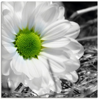Glasbild »Weiße Blume«, Blumen, (1 St.), in verschiedenen Größen, 34229252-0 schwarz B/H: 30 cm x 30 cm