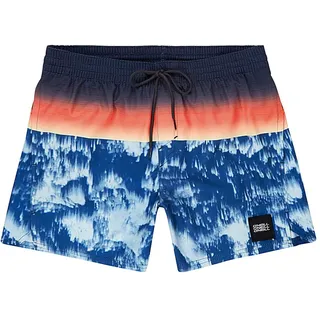 O'Neill Herren PM Cosmiq Badehose, Blau All Over Print, XS