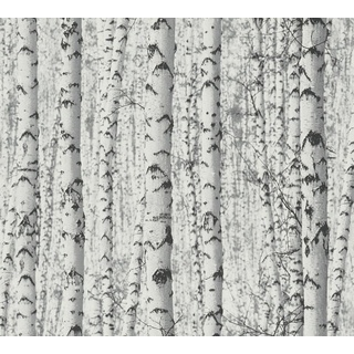 Tapete Birkenwald selbstklebend - Tapete Wald schwarz weiß - Naturtapete grau - 0,52 x 2,5m - Made in Germany