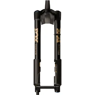 Fox Racing Shox Podium 29 Zoll 170 mm 2026 Schwarz/Gold