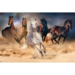 Pferde - Herde - Natur Poster Foto Pferde - Grösse 91,5x61 cm + 1 Packung tesa Powerstrips® - Inhalt 20 Stück