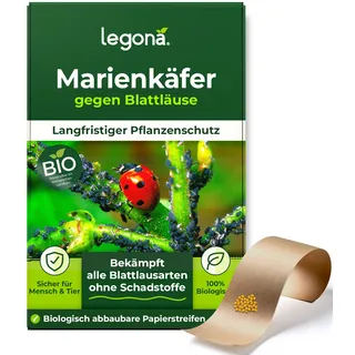 Marienkäferlarven gegen Blattläuse