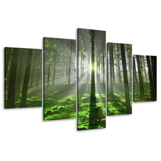Visario Bild auf Leinwand 100 cm Nr 6406 Wald fertig gerahmte Bilder 5 Teile Marke original Leinwandbilder