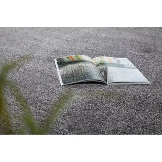 Andiamo Teppichboden Portland, Velours, Gesamthöhe 11 mm, Made in Netherlands, rechteckig, Uni Farben, Breite 400 cm, Wohnzimmer, strapazierfähig, pflegeleicht grau 400 cm x 400 cm