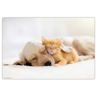 cover-your-desk Schreibunterlage Freundschaft zwischen Katze und Hund 60 x 40cm Weiß
