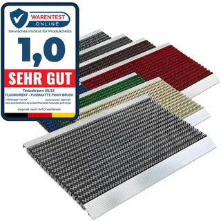 Floordirekt PRO Repräsentative Fußmatte Profi Brush - Testurteil Sehr Gut - Schmutzfangmatte mit Alu Rahmen für außen und innen - Verschiedene Bürsten Farben und Größen (40x60cm Beige)
