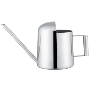Gießkanne Edelstahl Bewässerung Lange Design für Pflanzen Zimmerpflanze Patio Pflanzen Hängepflanzen und Outdoor Gärten(300ml)