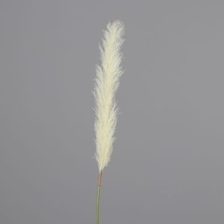 Kunstpflanze PAMPASGRAS (H 168 cm)