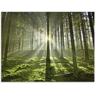 Glasbild ARTLAND "Wald im Gegenlicht", grün (farbe bild(er): grün), B:80cm H:60cm, Bilder, in verschiedenen Größen