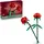 Roses 40460