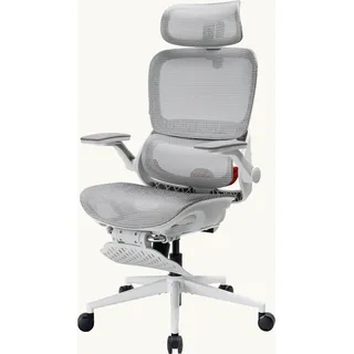 Sihoo B100 Pro Ergonomischer Mesh-bürostuhl Mit 4d Dynamischer Lendenwirbelstütze, 3d Extra Breiter Kopfstütze, 4d Hochklappbaren Armlehnen, Fußstütze, Grau