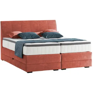 Novel Boxspringbett, Koralle, Holz, Wenge, H2 + H4, 7-Zonen, Höhe ca. 18 cm, 180x200 cm, Bettkasten, Federkernmatratze, Schlafzimmer, Betten, Doppelbetten