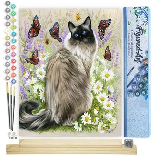 Figured'Art Malen Nach Zahlen Erwachsene Mit Rahmen Katze und Schmetterlinge - Paint by Numbers Basteln DIY Bastelset 40x50cm Mit Keilrahmen (nicht gespannt)