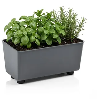 Lamela Rechteckiger Pflanzkasten mit eleganten Füßen – Antrazit Blumenkübel aus robustem Kunststoff 28,5 x 17 cm, 4,2L – Wetterfest & Pflegeleicht - für Innen & Außen, Anti-meise