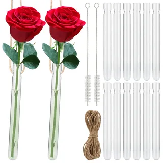 jwogngls 12 Stück Hängende Reagenzgläser für Blumen, Vase mit Loch Reagenzgläser, Transparent Reagenzglas Vase, Kreative Glas Reagenzglas für Haus, Büro, Hochzeit Dekoration(1.5 * 15cm)