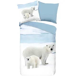Muller Textil Wendebettwäsche Eisbär Blau 135 x 200 cm + 80 x 80 cm