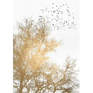 Living Walls Fototapete ARTist Golden Skies, (Set, 2 St), Baumkronen, Vlies, glatt