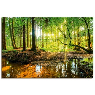 ARTland Leinwandbilder Wandbild Bild auf Leinwand Wald mit Bach Größe: 60x40 cm