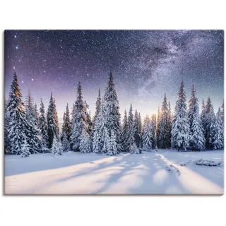 Wandbild ARTLAND "Tannenwald im Schnee vorm Sternenhimmel", blau (farbe bild(er): blau), B:80cm H:60cm, Bilder, als Alubild, Leinwandbild, Poster in verschied. Größen