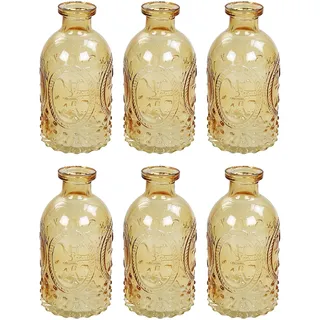 GMMH Dekoflasche Glasflasche 6 Stück Korkenglas Korkengläser Deko Apotheke Flasche Likörflasche Apothekerglas Vintage Glas (orange)