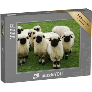 Puzzle 1000 Teile XXL „Eine Herde von weißen Schafen mit schwarzen Köpfen, Walliser Schwarznase“ – aus der Puzzle-Kollektion Bauernhof-Tiere, Schafe & Lämmer