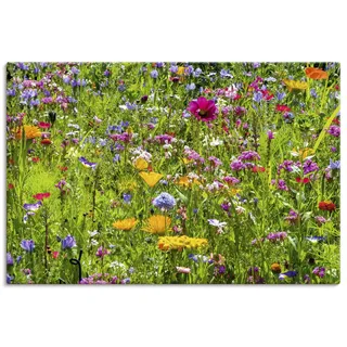 ARTLAND Wanddeko Leinwand Bilder Wandbild 90x60 cm Blumenbilder Blumenwiese Blüten Frühling Blumen Bunt U2KT